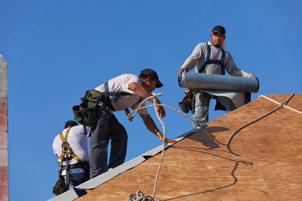 Roof Gutter Cleaning in Claycomo, MO